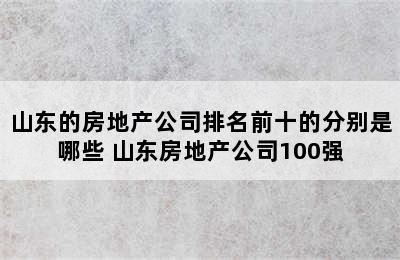 山东的房地产公司排名前十的分别是哪些 山东房地产公司100强